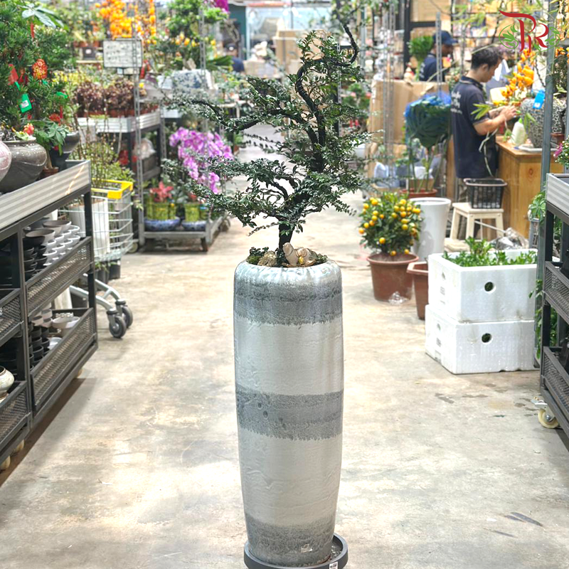 【CNY 2026】 Purple Auspice Brings Wealth (Pterocarpus Plant)《紫气生财》