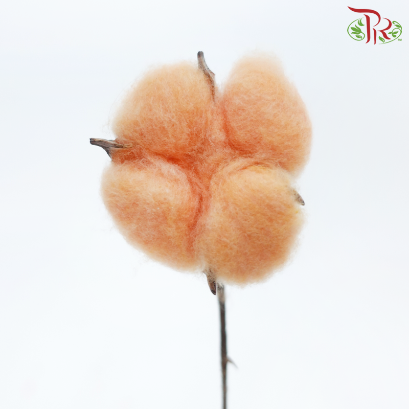 Artificial Cotton Flower - Orange (10 Stems)