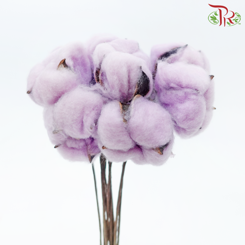 Artificial Cotton Flower - Light Purple (10 Stems)