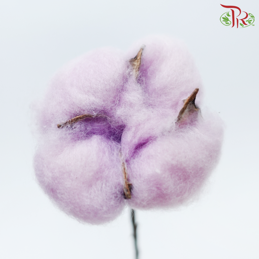Artificial Cotton Flower - Light Purple (10 Stems)