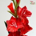 Artificial Gladiolus《剑兰》 - Charm Red (Per Stem)