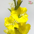 Artificial Gladiolus《剑兰》 - Yellow (Per Stem)