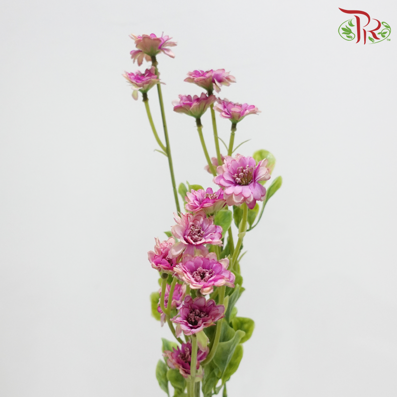 Artificial Mini Pom Pom - Purple (2 Stems)