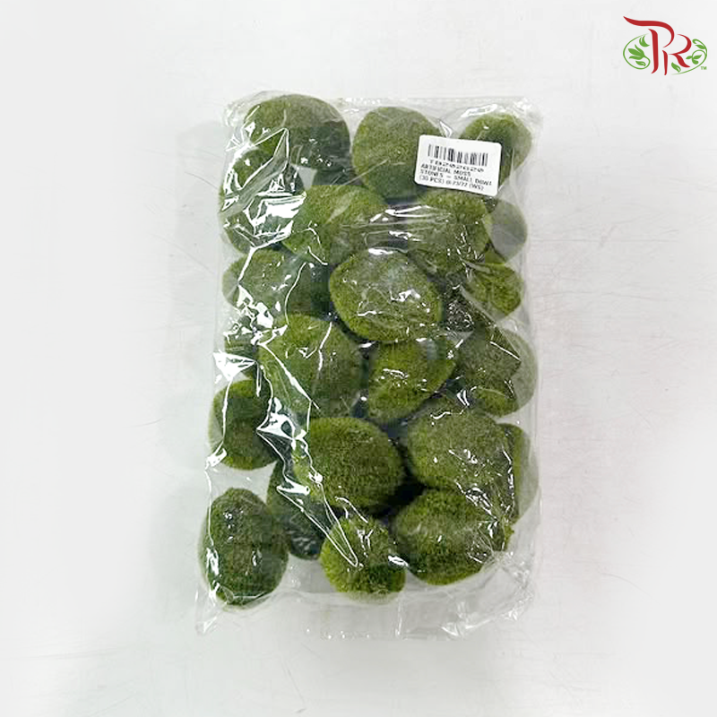 Artificial Moss Stones - Small (30 PCS)