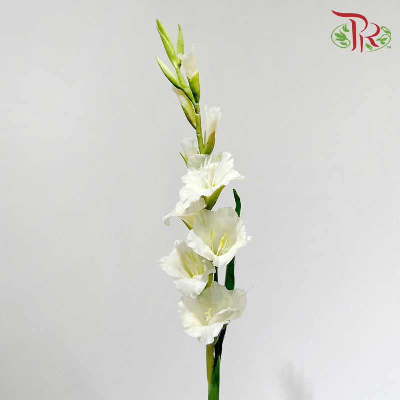 Artificial Gladiolus《剑兰》 - White (Per Stem)