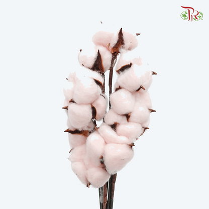 Artificial Cotton Flower - Pink (10 Stems)