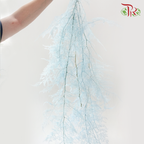 Preserved Asparagus Fern - Blue (Per Bunch)