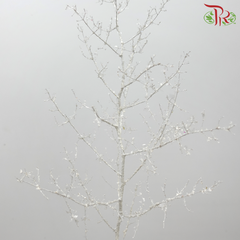Asparagus Leaf Dyed - Ice Silver (Per Bunch) - Pudu Ria Florist