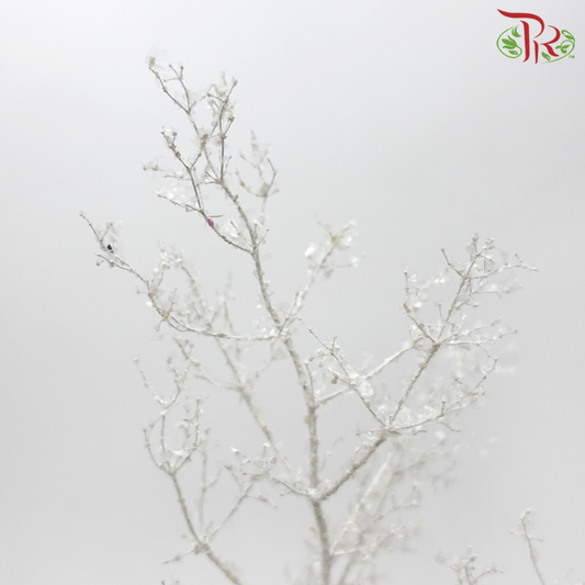 Asparagus Leaf Dyed - Ice Silver (Per Bunch) - Pudu Ria Florist