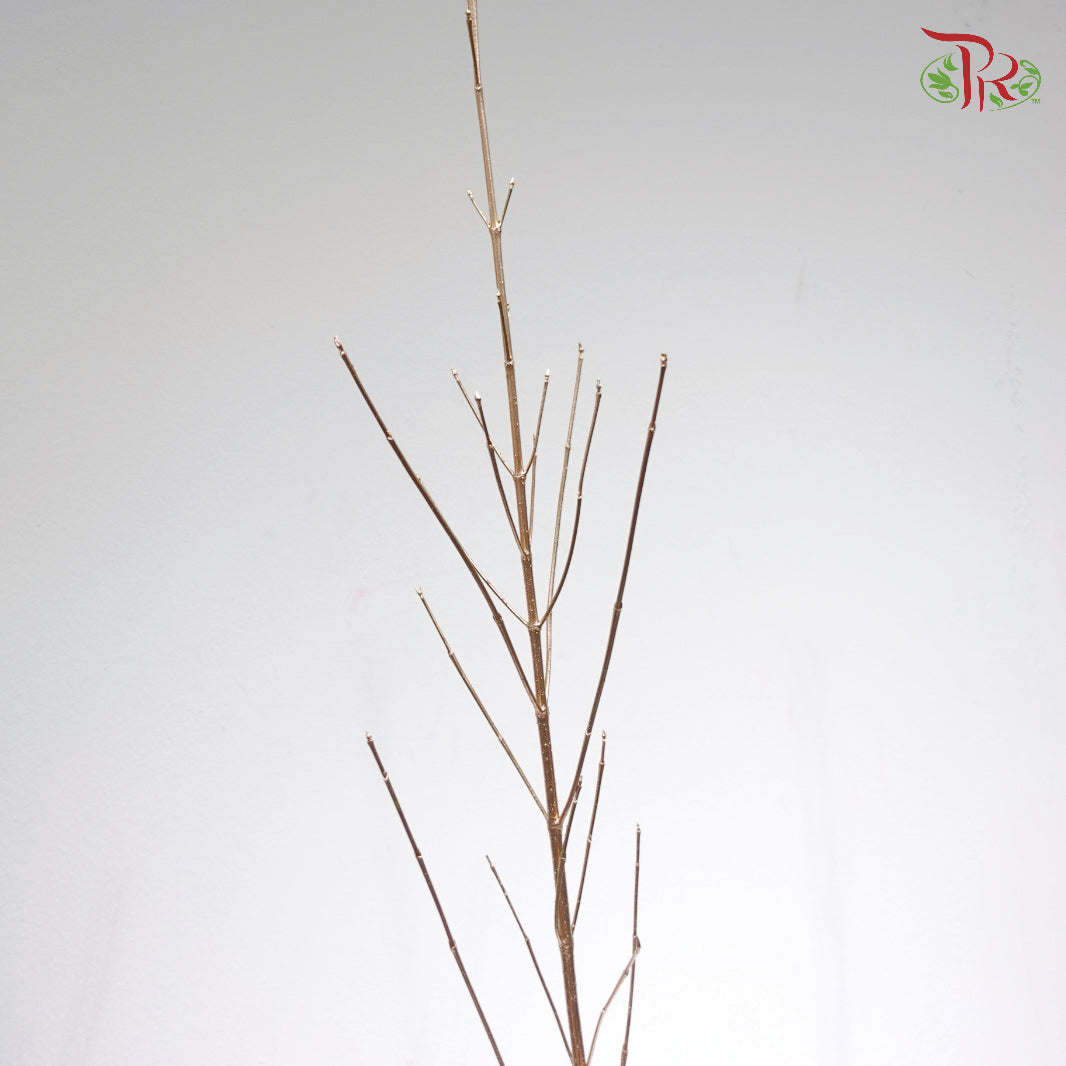 Cornus Antique Gold (10 Stems)