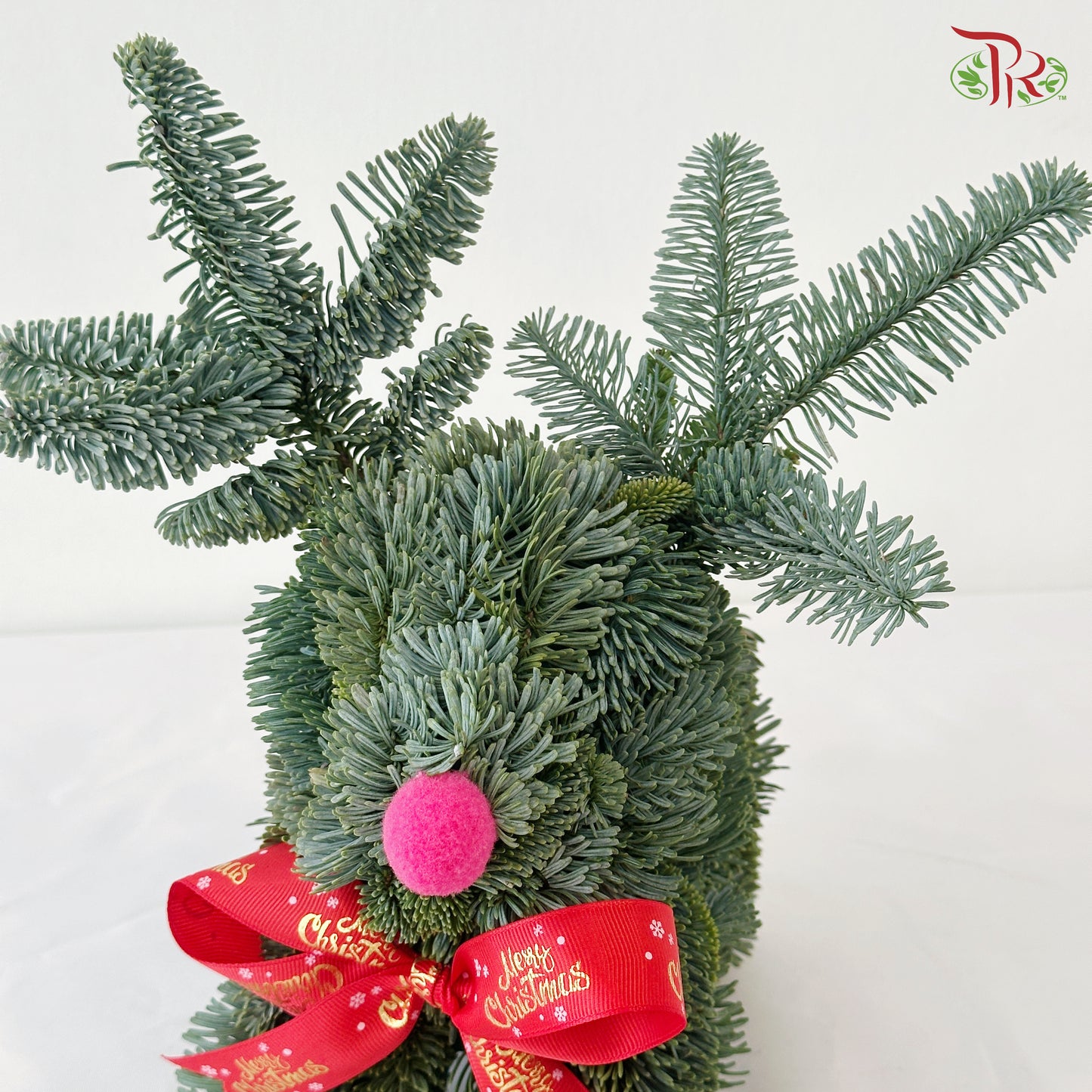 【XMAS 2025】 Noble Reindeer Dreams