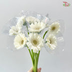 Gerbera Mini - White (9-10 Stems)