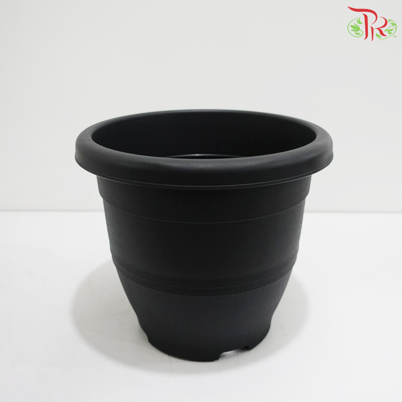 BI-EG-260 - Pot (With Color Option)