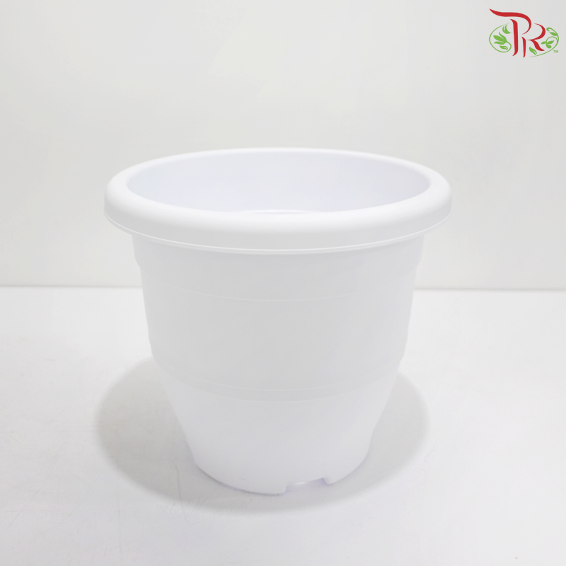 BI-EG-260 - Pot (With Color Option)