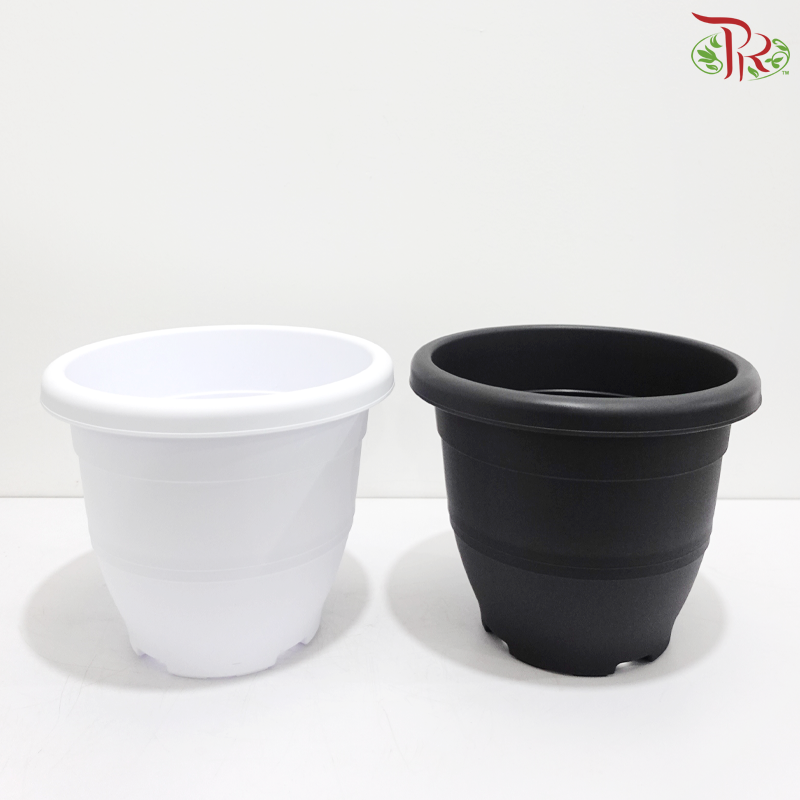 BI-EG-260 - Pot (With Color Option)