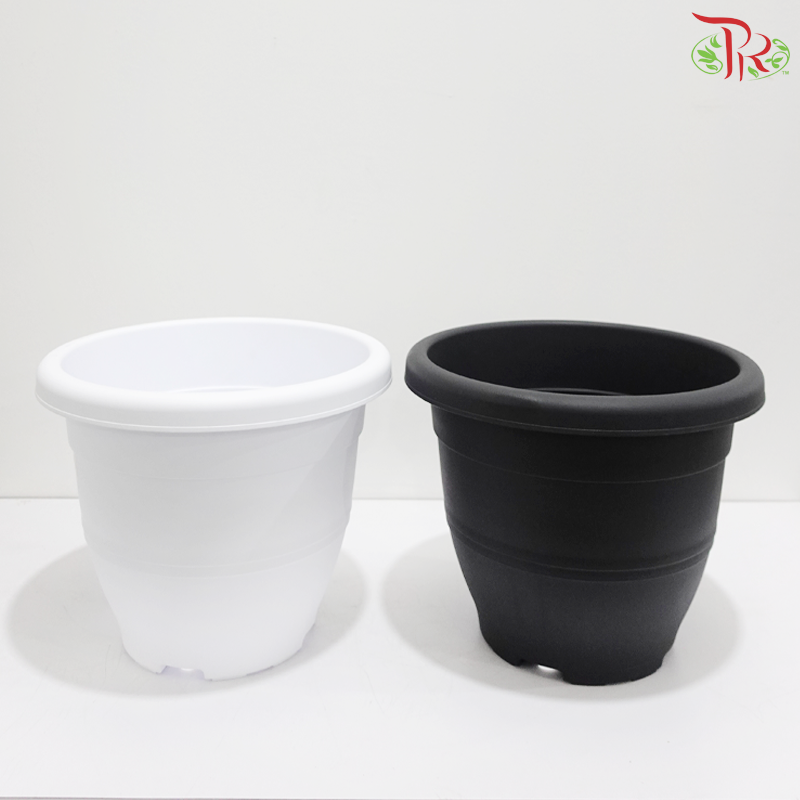 BI-EG-310 - Pot (With Color Option)