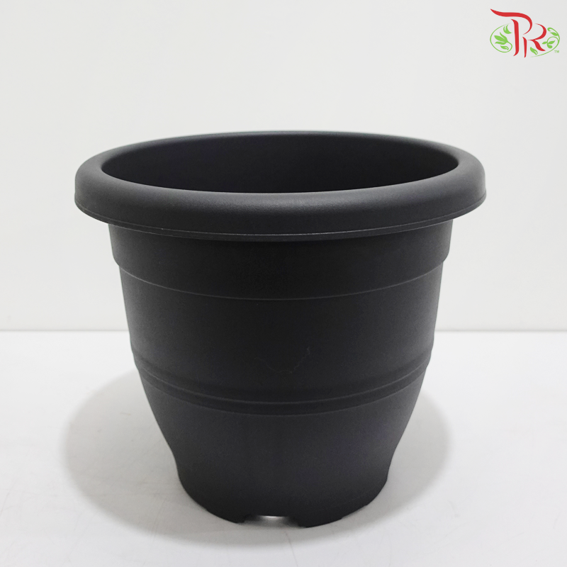 BI-EG-310 - Pot (With Color Option)