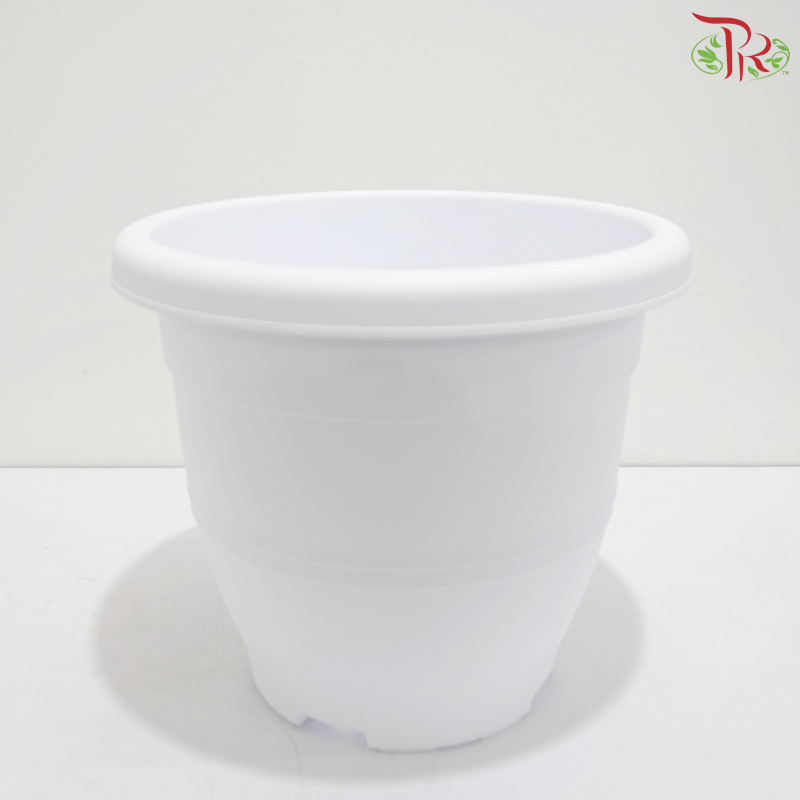 BI-EG-310 - Pot (With Color Option)