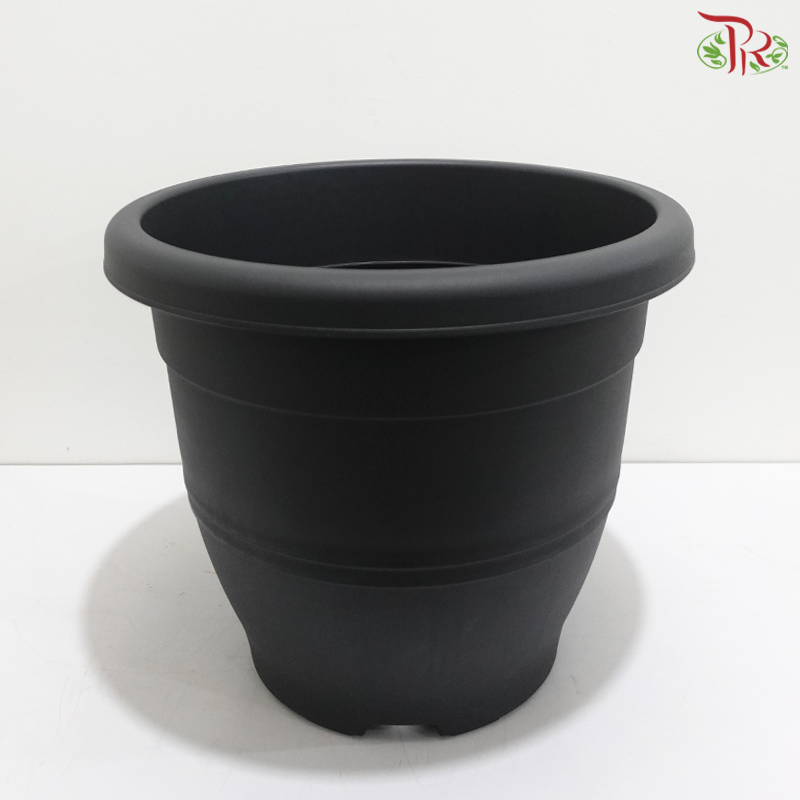 BI-EG-392 - Pot (With Color Option)