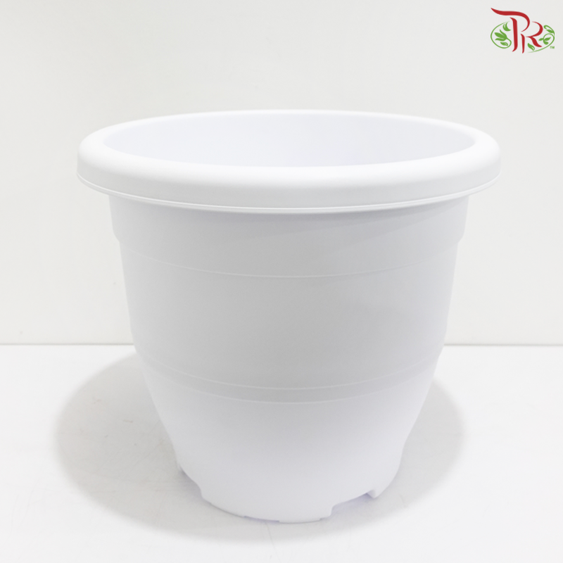 BI-EG-392 - Pot (With Color Option)