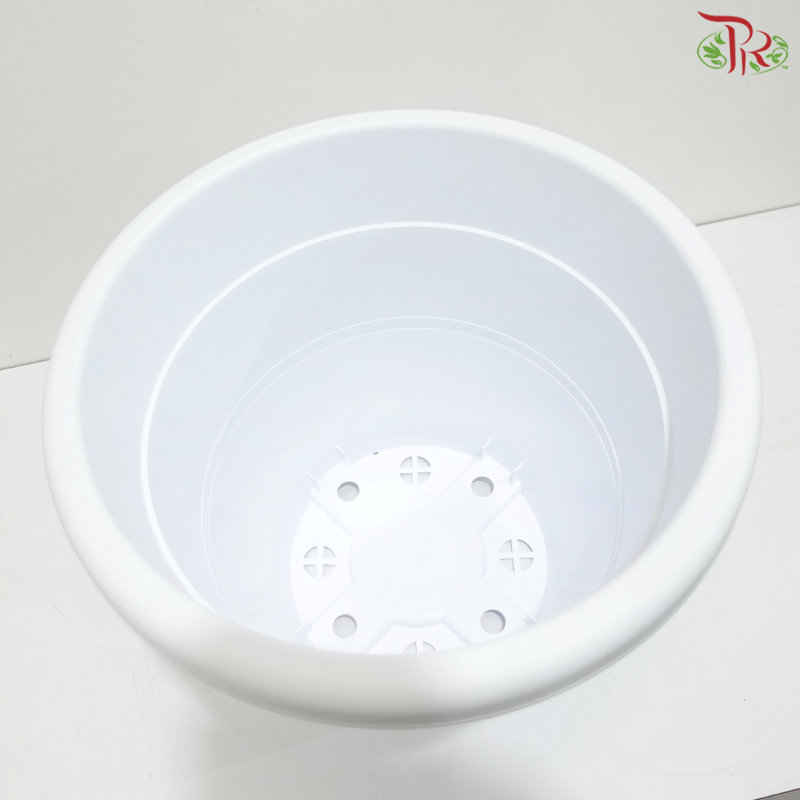 BI-EG-392 - Pot (With Color Option)