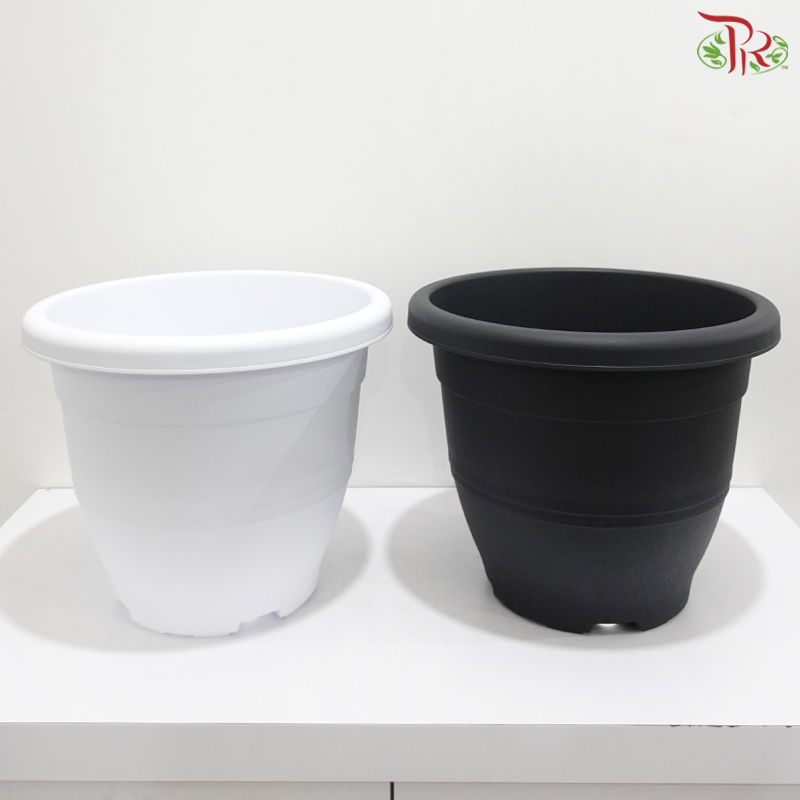 BI-EG-392 - Pot (With Color Option)