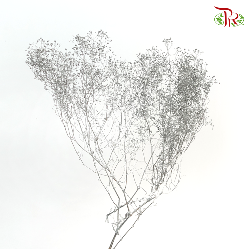 Baby Breath Preservative - Dark Silver - Pudu Ria Florist
