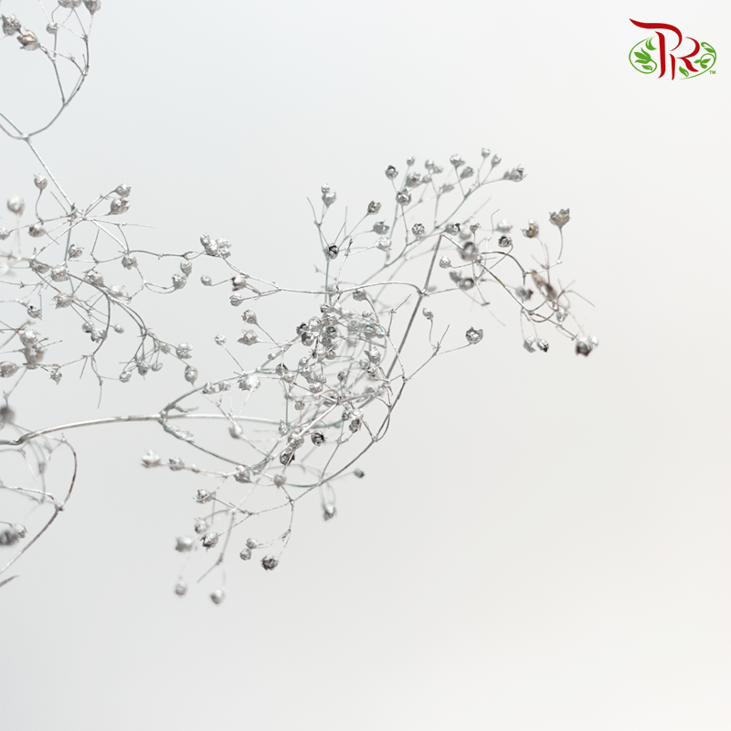 Baby Breath Preservative - Dark Silver - Pudu Ria Florist