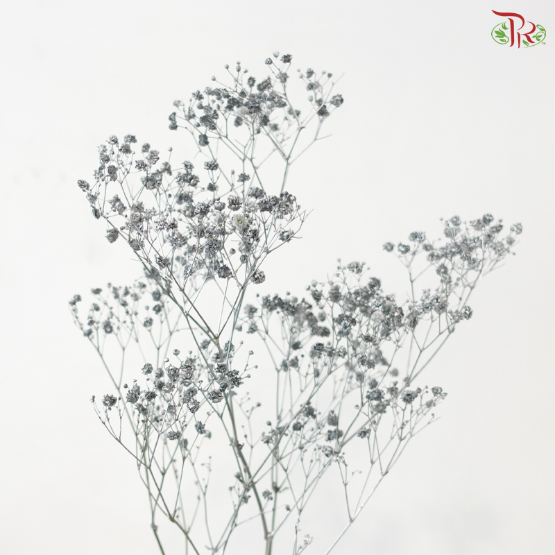 F'Sani Baby's Breath Dyed - Silver (10 Stems)