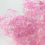 Preserved Mini Baby's Breath - Purple Pink