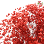 Preserved Baby's Breath - Soft Red