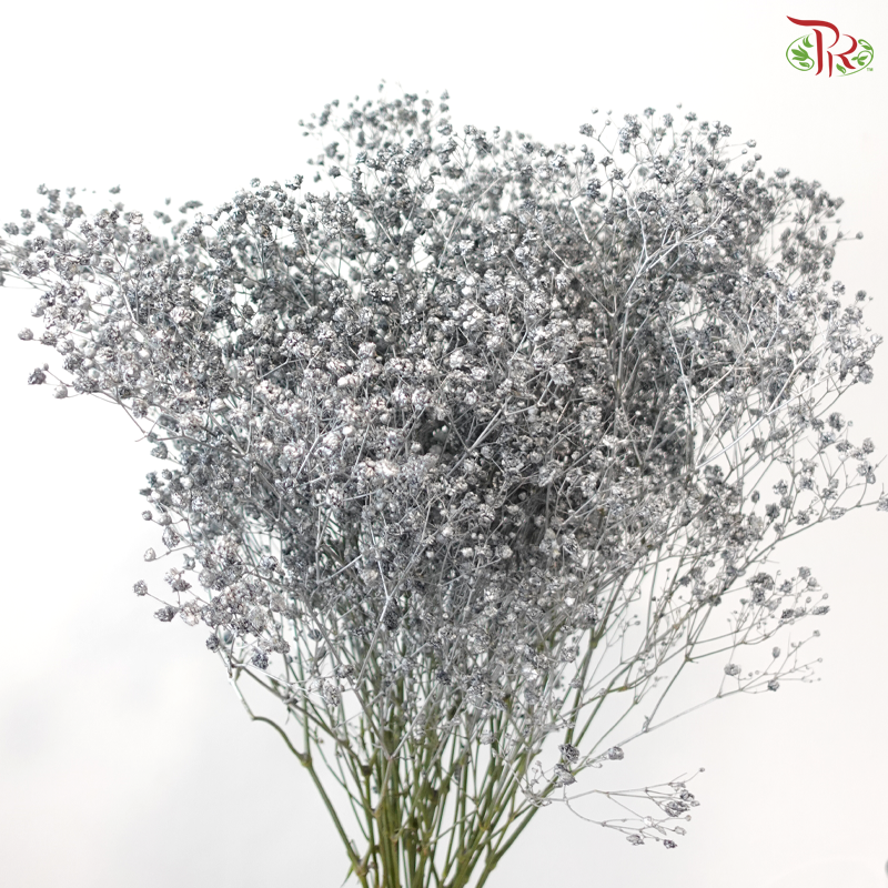 F'Sani Baby's Breath Dyed - Silver (10 Stems)