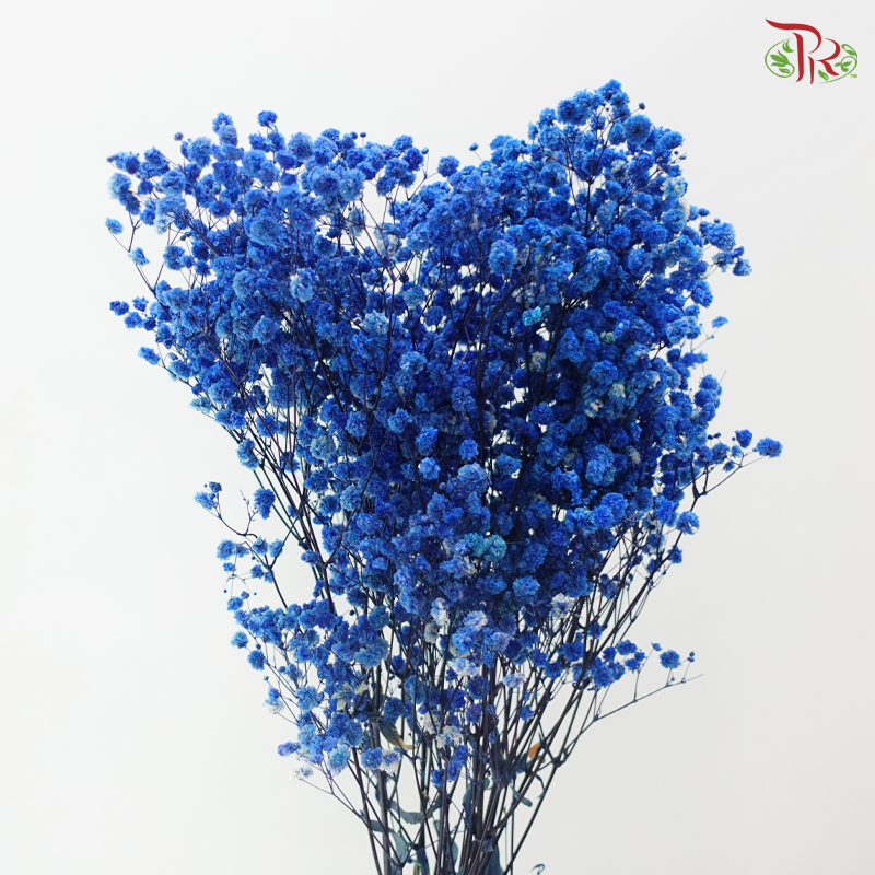 Preserved Baby's Breath - Dark Blue