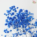 Preserved Baby's Breath - Dark Blue