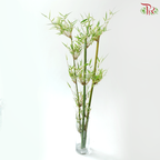 Bambusa Fern Leaf (3 Stems)