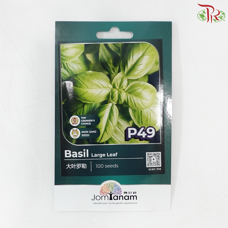 【Jom Tanam Seeds】Herbs Series (Per Pack) (With Options)