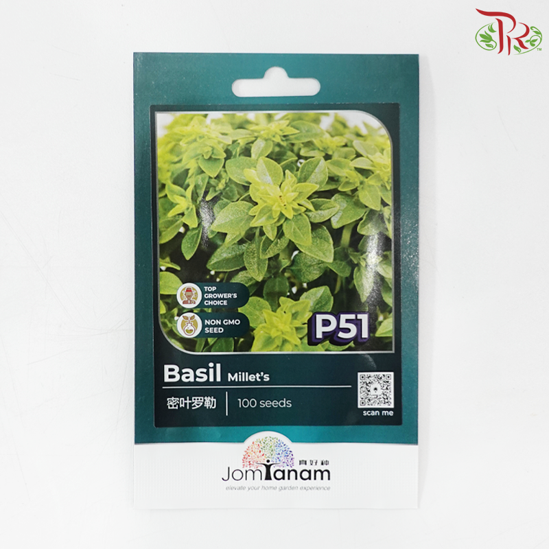 【Jom Tanam Seeds】Herbs Series (Per Pack) (With Options)
