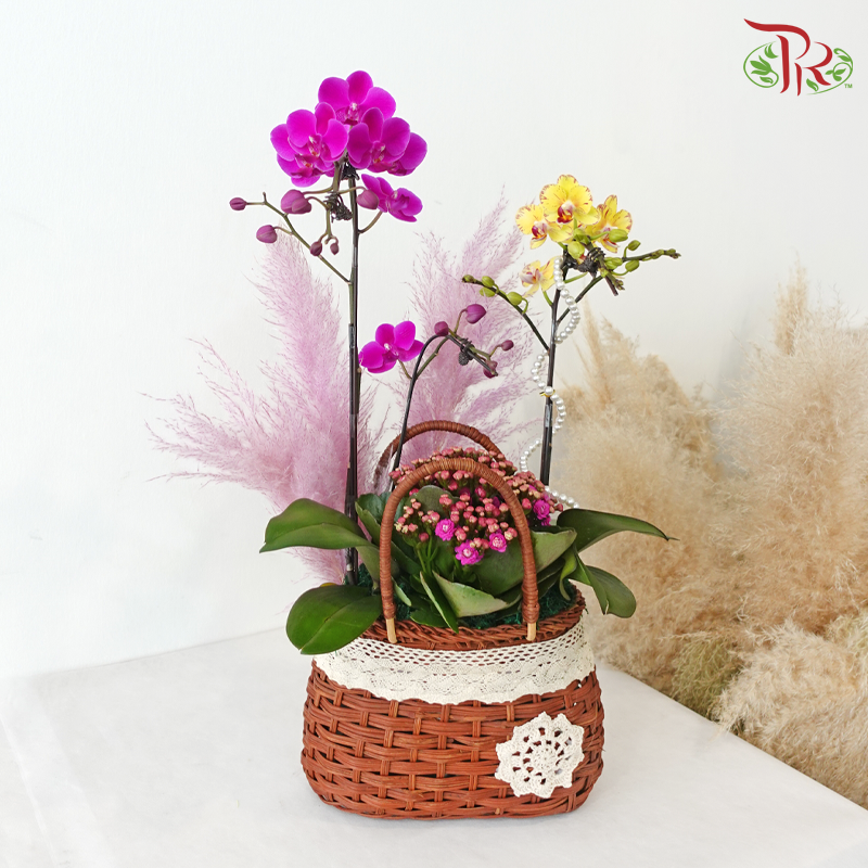 【RAYA 2026】Raya Delight