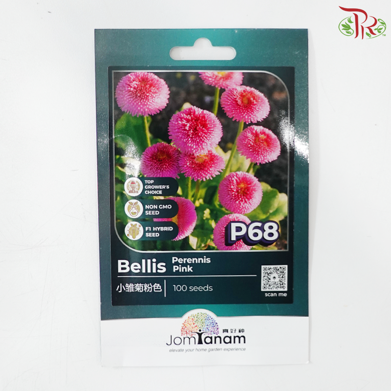 【Jom Tanam Series】Flower Series (Per Pack) (With Option)