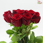 Rose - Red Dora(10 Stems)