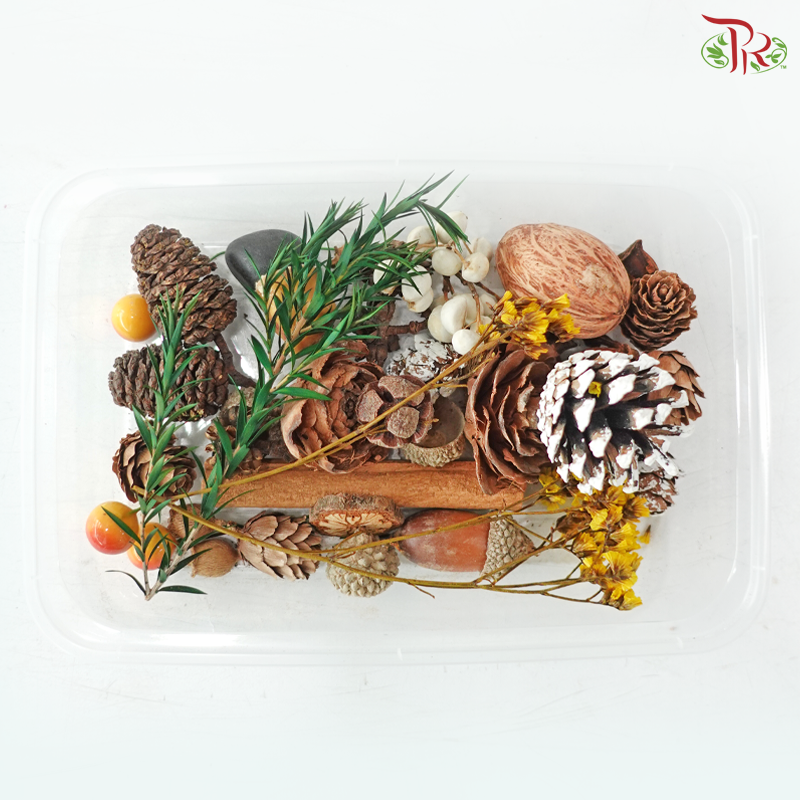 Dried Fruit Mix Box 08 (Random Mix)