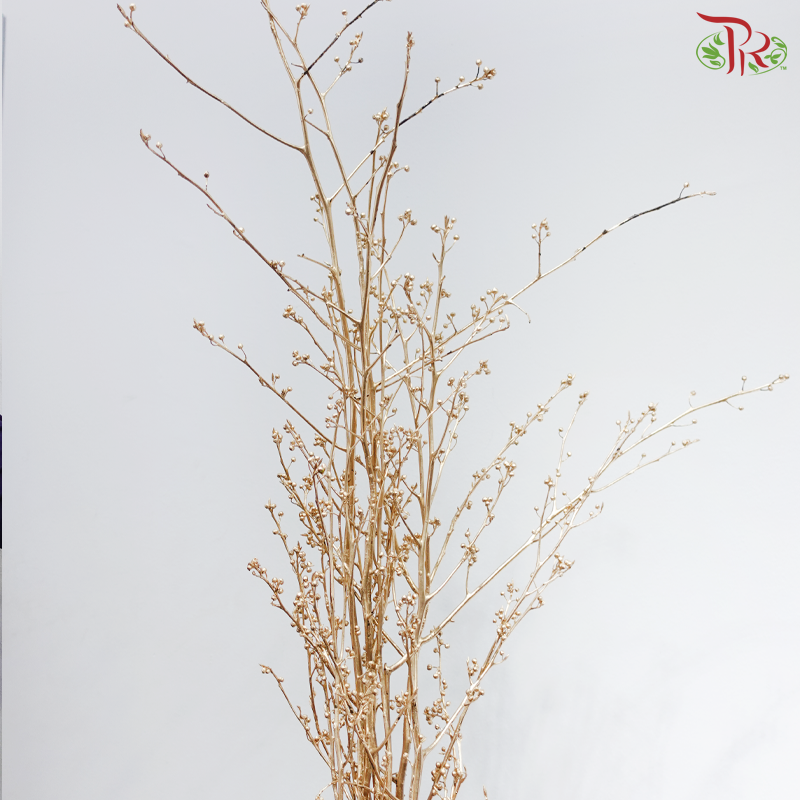 Golden Boxwood - Deng Tai《灯台》