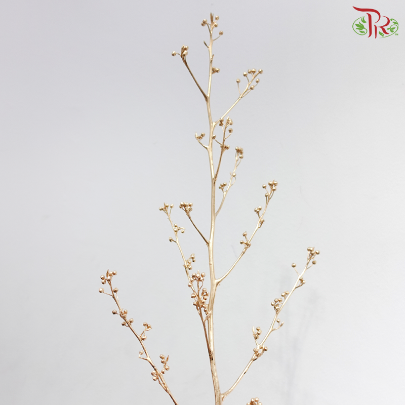 Golden Boxwood - Deng Tai《灯台》