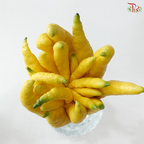 Buddha Hand Citron 佛手柑 (Per Unit) (With Size Option)