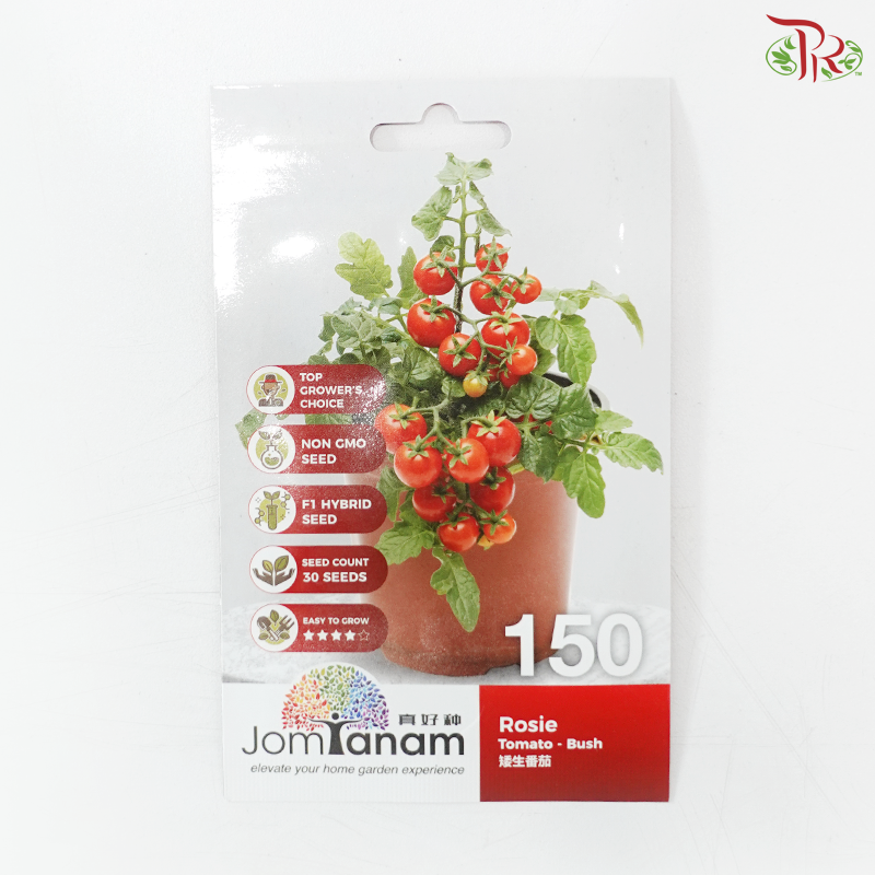 【Jom Tanam Seeds】Fruity Vegetable Series - Tomato (Per Pack) (With Options)