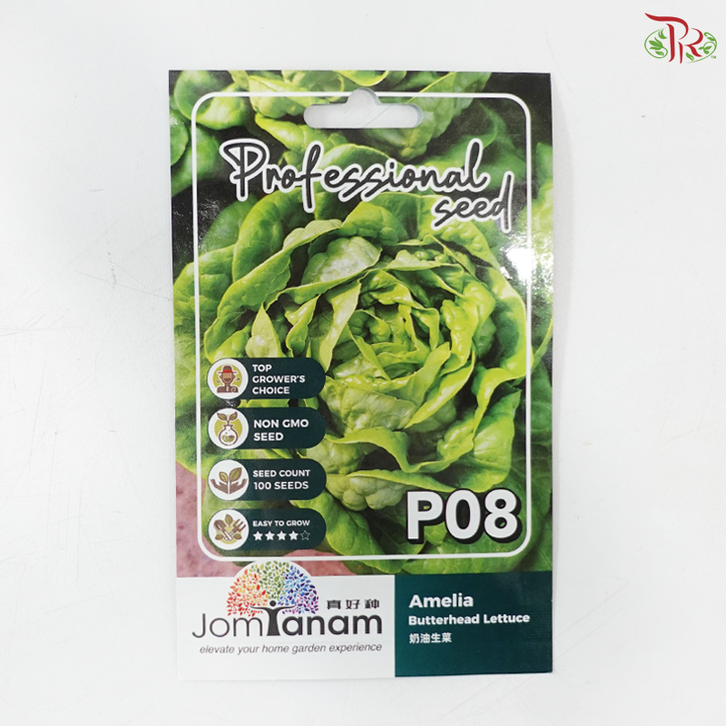【Jom Tanam Seeds】Vegetable Series (Per Pack) (With Options)