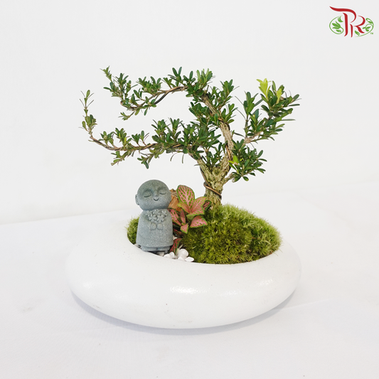 【CNY 2026】New Year Buxus Blessings《黄杨贺岁》
