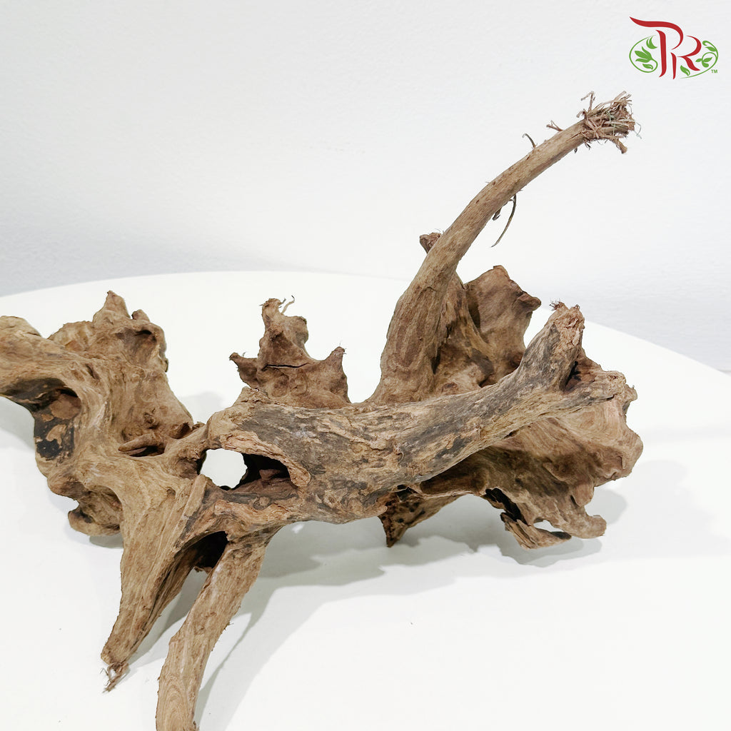 Coral Wood《珊瑚木》1KG