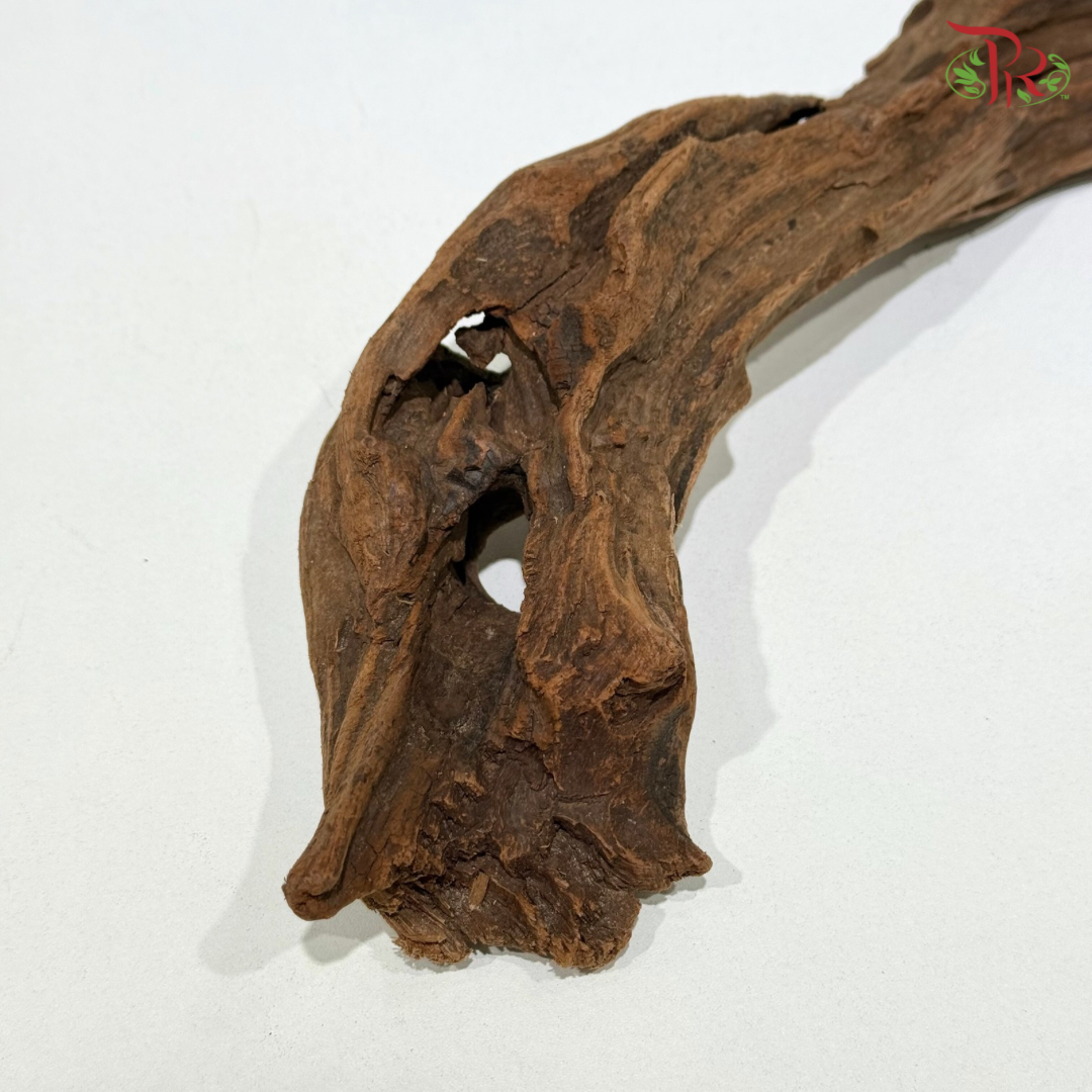 SUNKEN WOOD《沉木》1KG