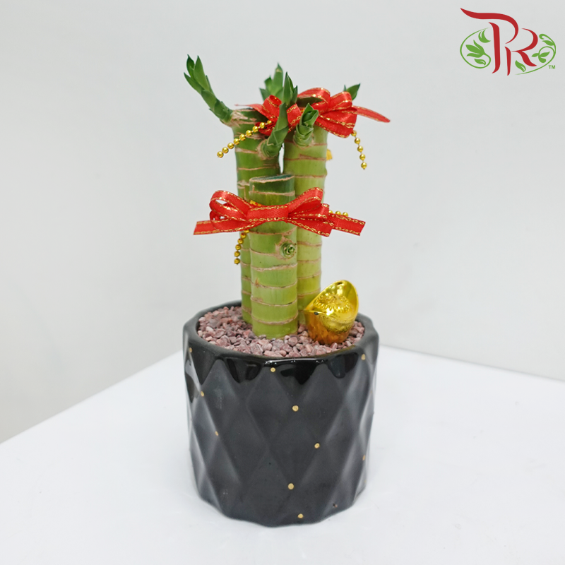 CNY 3in1 Bamboo Arrangement (Random Choose Design & CNY Ornaments) (With Pot Colour Options)